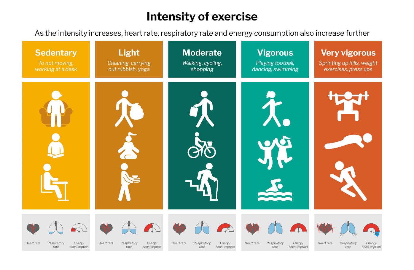 Moderate physical activity. Moderate exercise. Exercise is important. Sedentary Light activity.